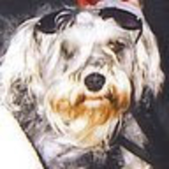 sheilaenelson